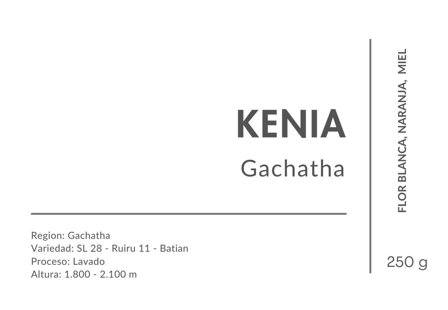 Kenia Gachatha