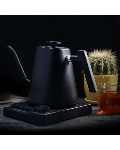 Hervidor Kettle Felicita 0.6L