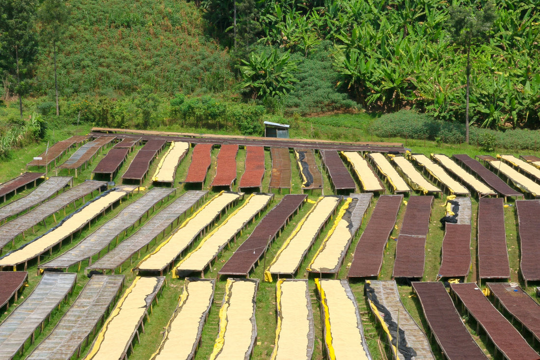 Ruanda – Muhororo Anaeróbico Natural