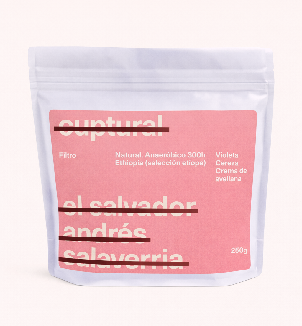 Salvador Andres Salavarria - Filtro B2B