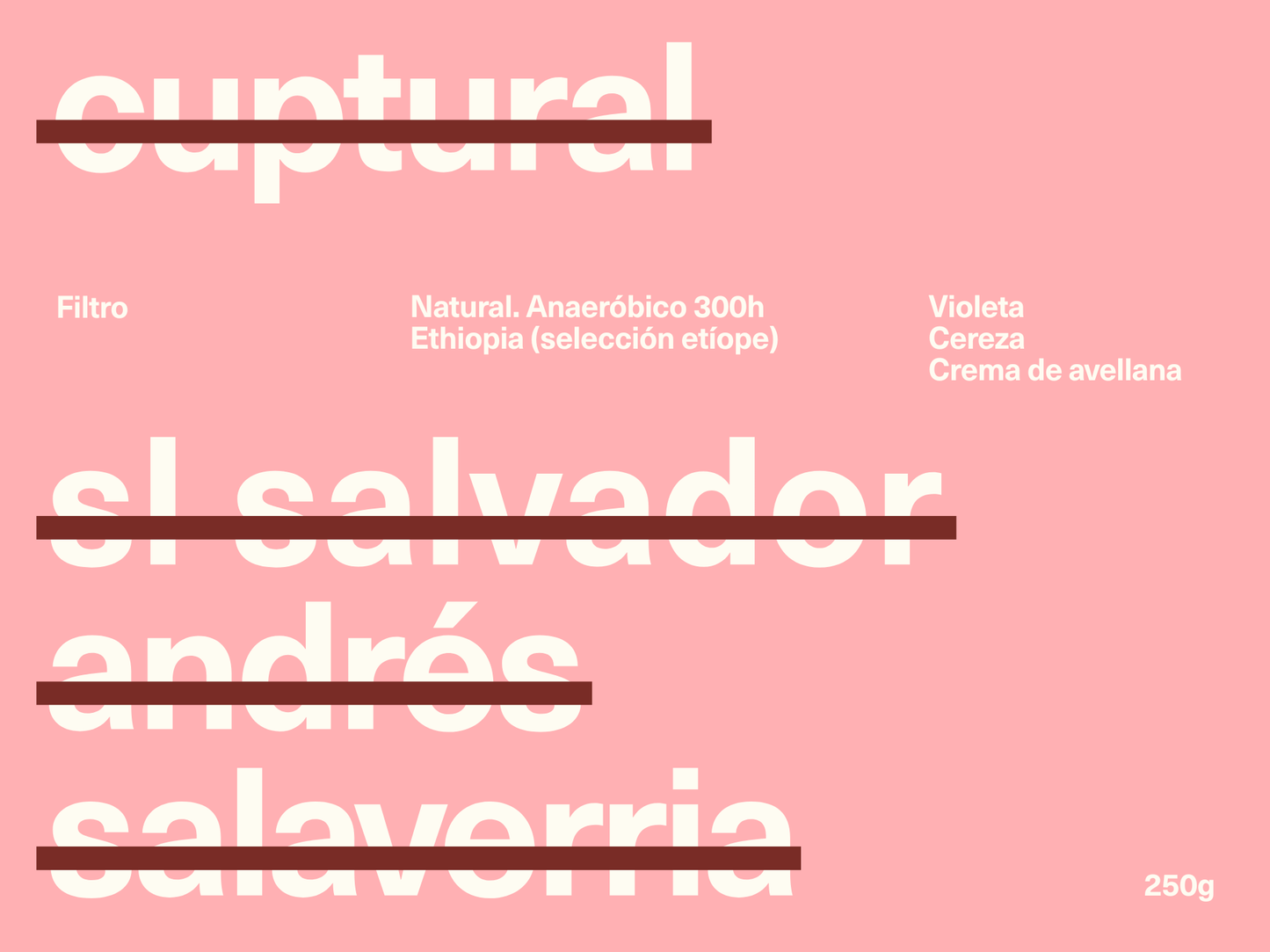 Salvador Andres Salavarria - Filtro B2B