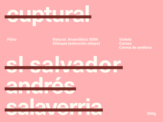 Salvador Andres Salavarria - Filtro